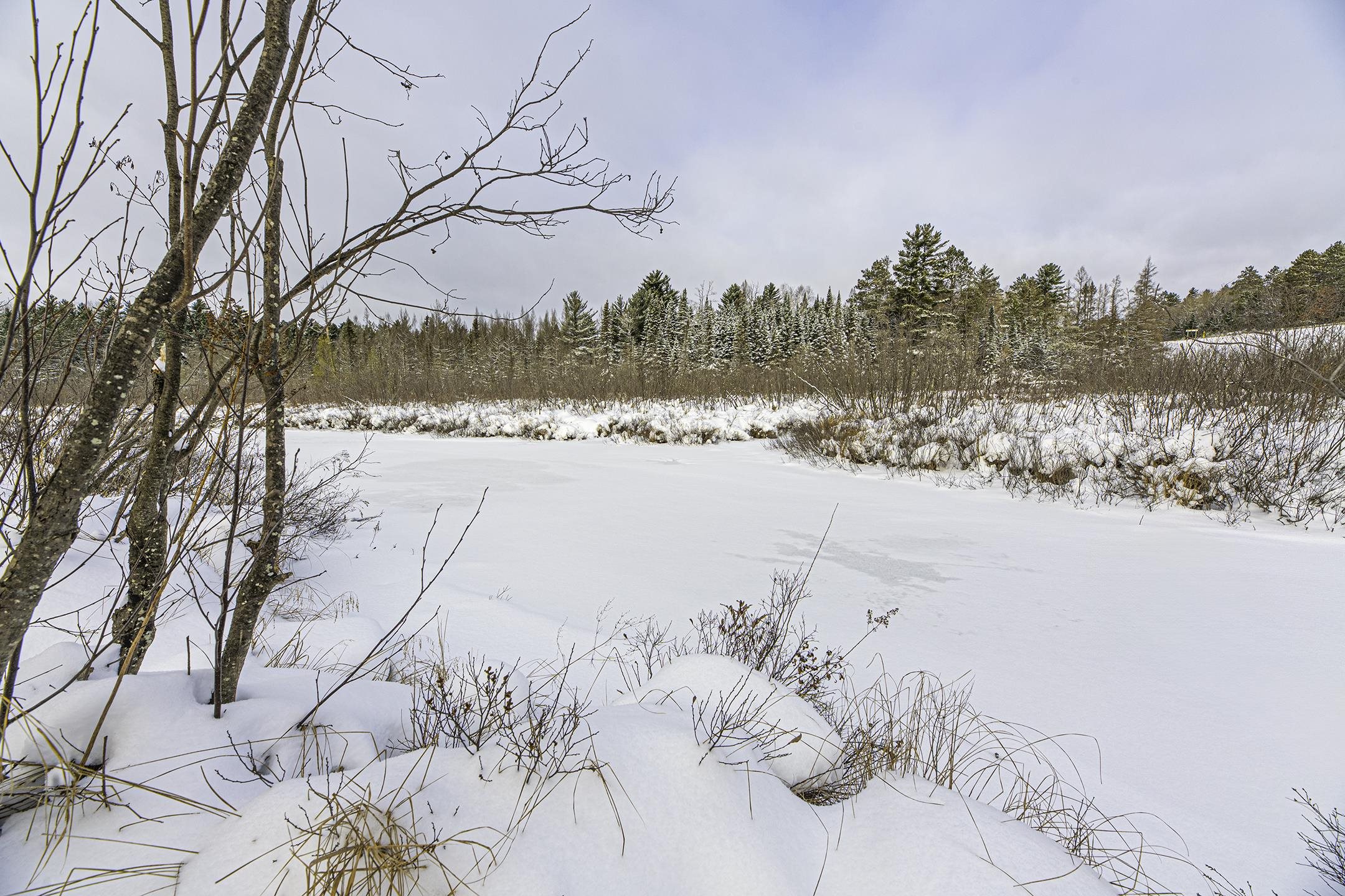 Clearview Court Hazelhurst, WI 54531 - Photo 38 of 61