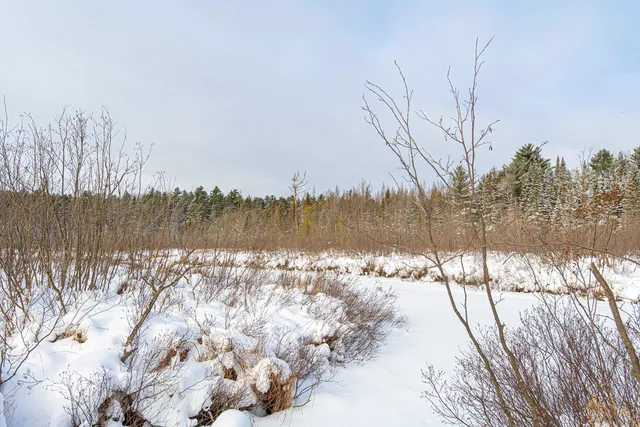 $249,900 | Clearview Court, Hazelhurst, WI 54531