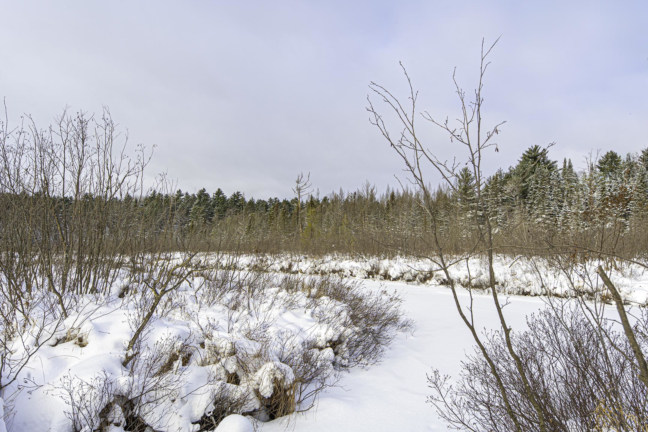 Clearview Court Hazelhurst, WI 54531 - Photo 41 of 61