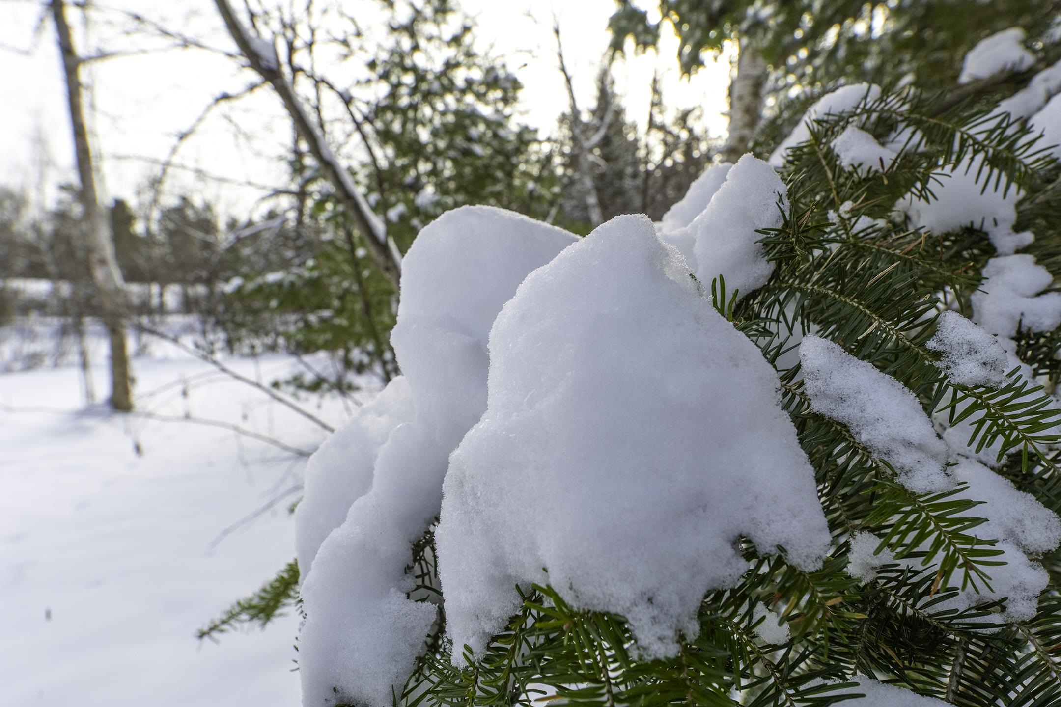 Clearview Court Hazelhurst, WI 54531 - Photo 42 of 61