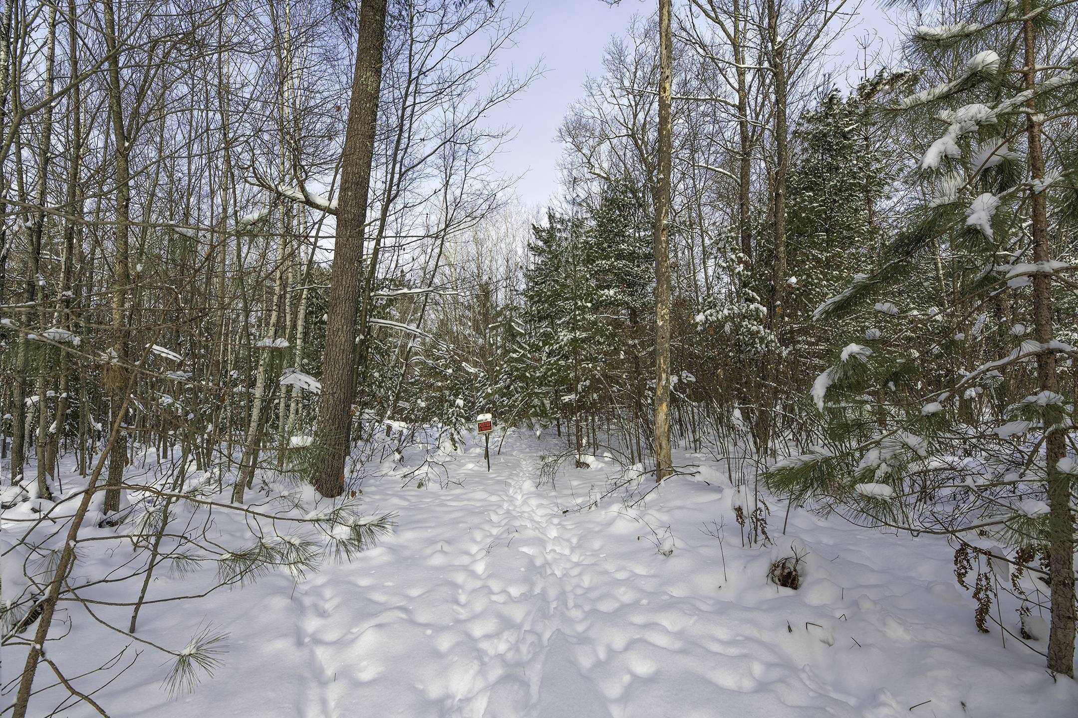 Clearview Court Hazelhurst, WI 54531 - Photo 43 of 61