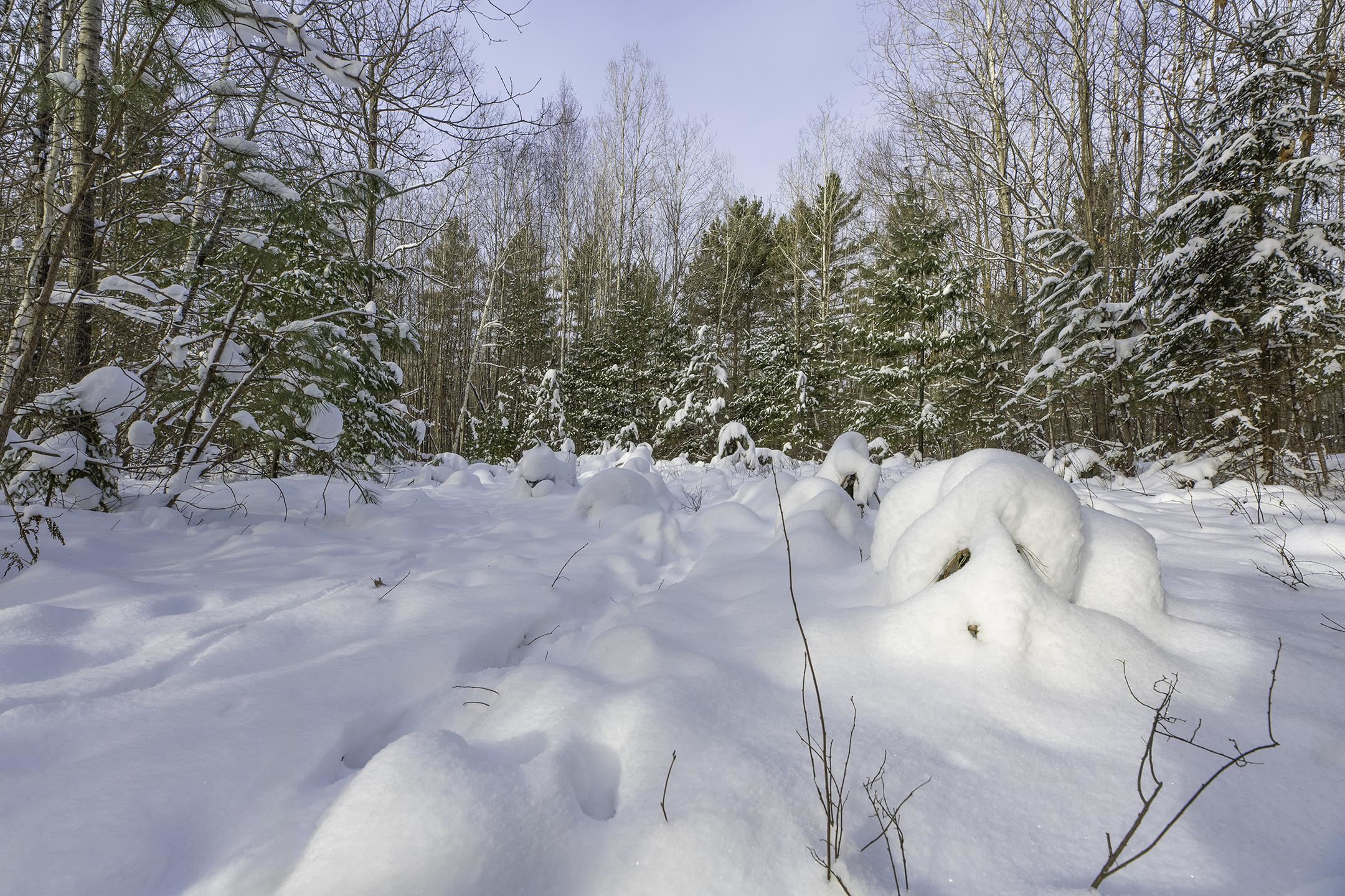 Clearview Court Hazelhurst, WI 54531 - Photo 44 of 61