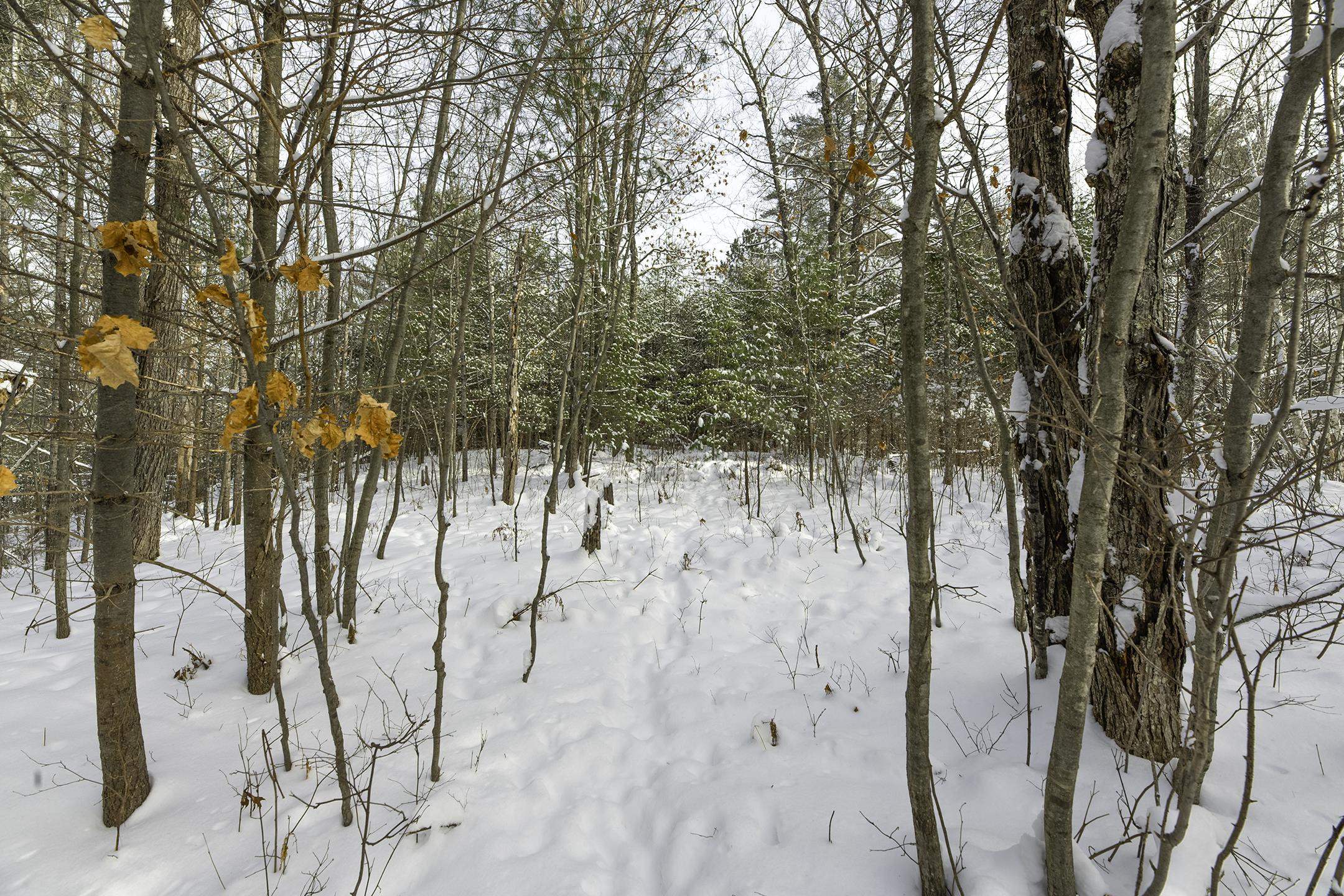 Clearview Court Hazelhurst, WI 54531 - Photo 45 of 61