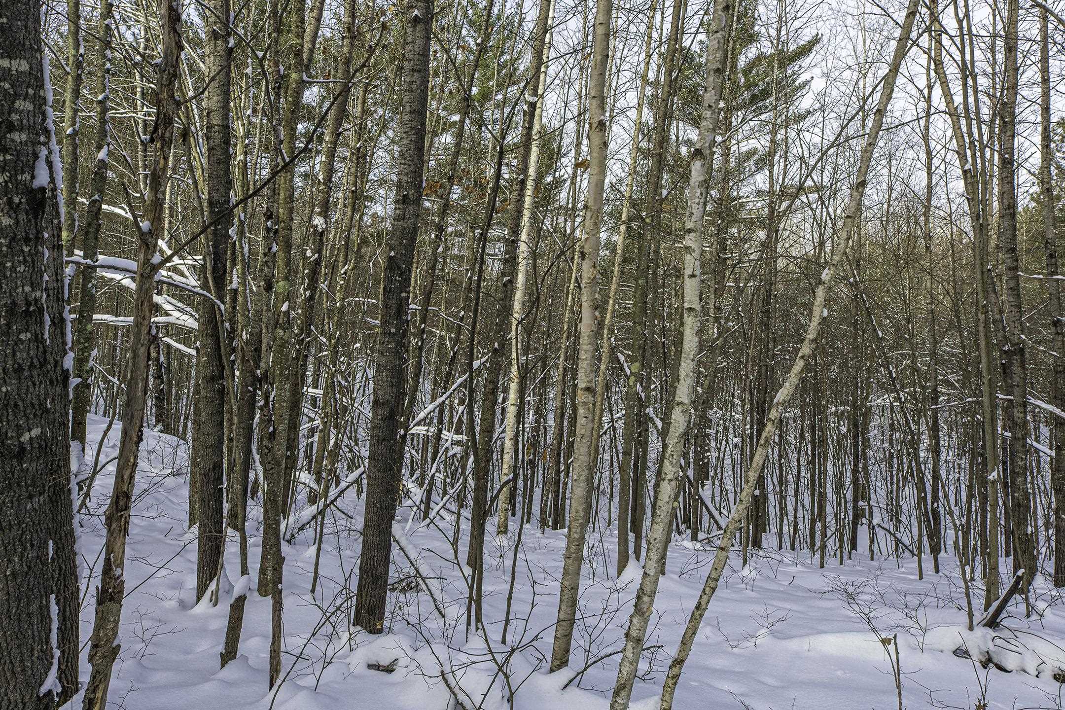 Clearview Court Hazelhurst, WI 54531 - Photo 46 of 61