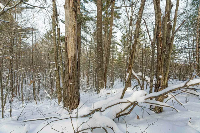 $249,900 | Clearview Court, Hazelhurst, WI 54531