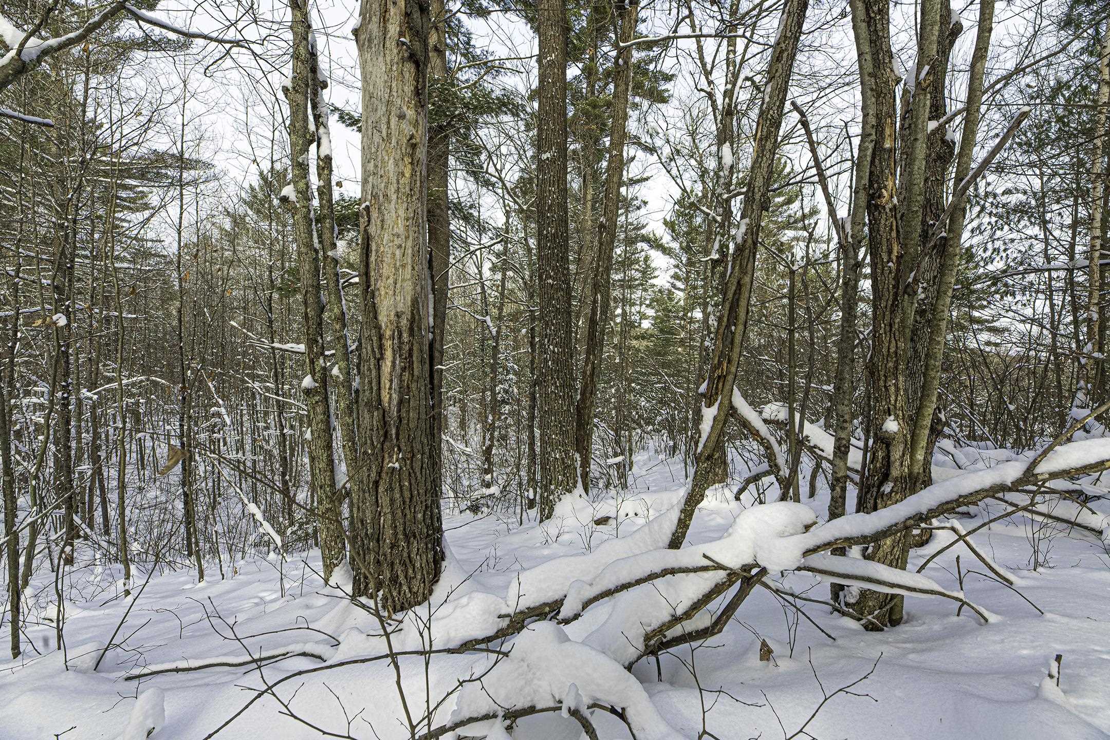 Clearview Court Hazelhurst, WI 54531 - Photo 47 of 61
