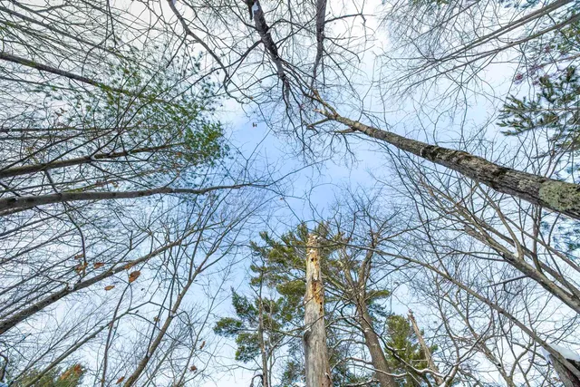 $249,900 | Clearview Court, Hazelhurst, WI 54531