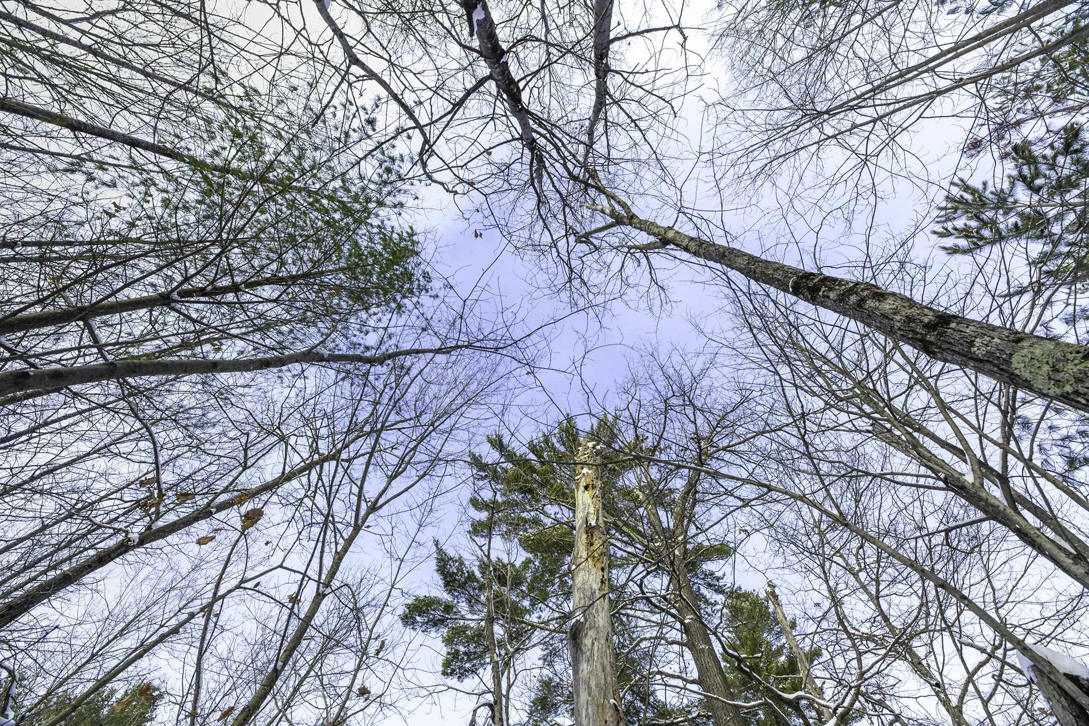 Clearview Court Hazelhurst, WI 54531 - Photo 48 of 61