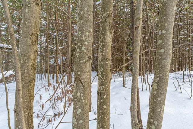 $249,900 | Clearview Court, Hazelhurst, WI 54531