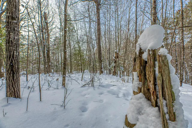 $249,900 | Clearview Court, Hazelhurst, WI 54531