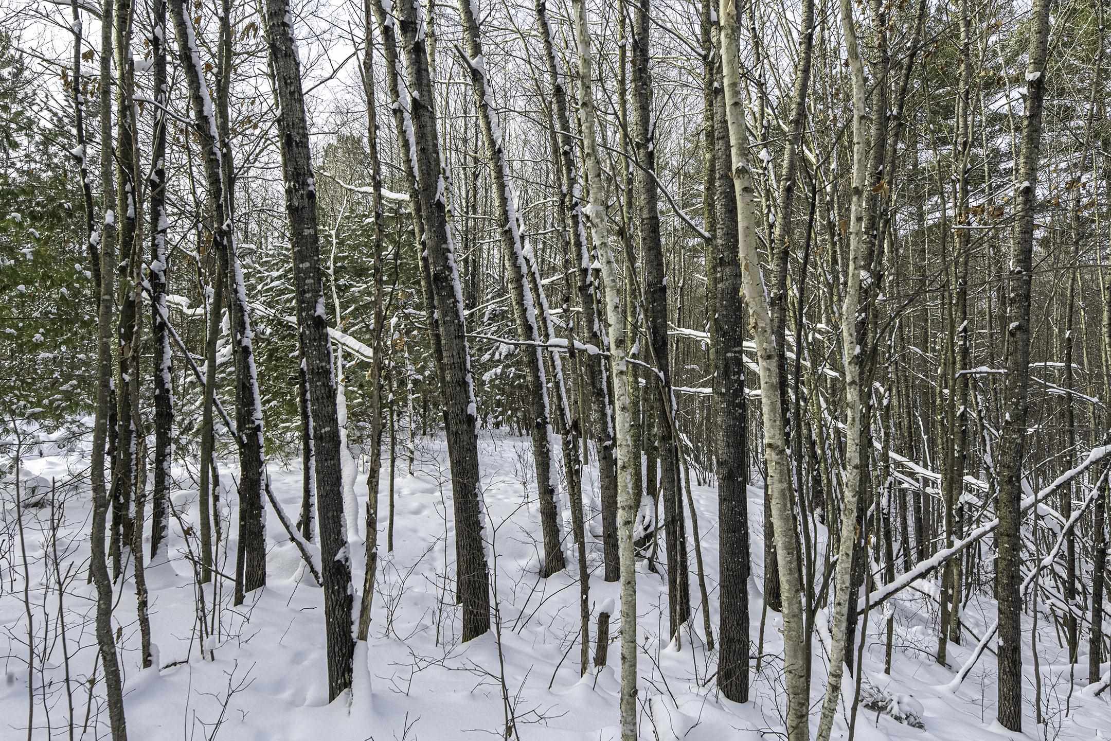 Clearview Court Hazelhurst, WI 54531 - Photo 51 of 61