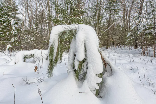 $249,900 | Clearview Court, Hazelhurst, WI 54531