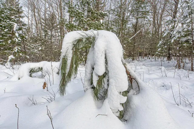 $249,900 | Clearview Court, Hazelhurst, WI 54531