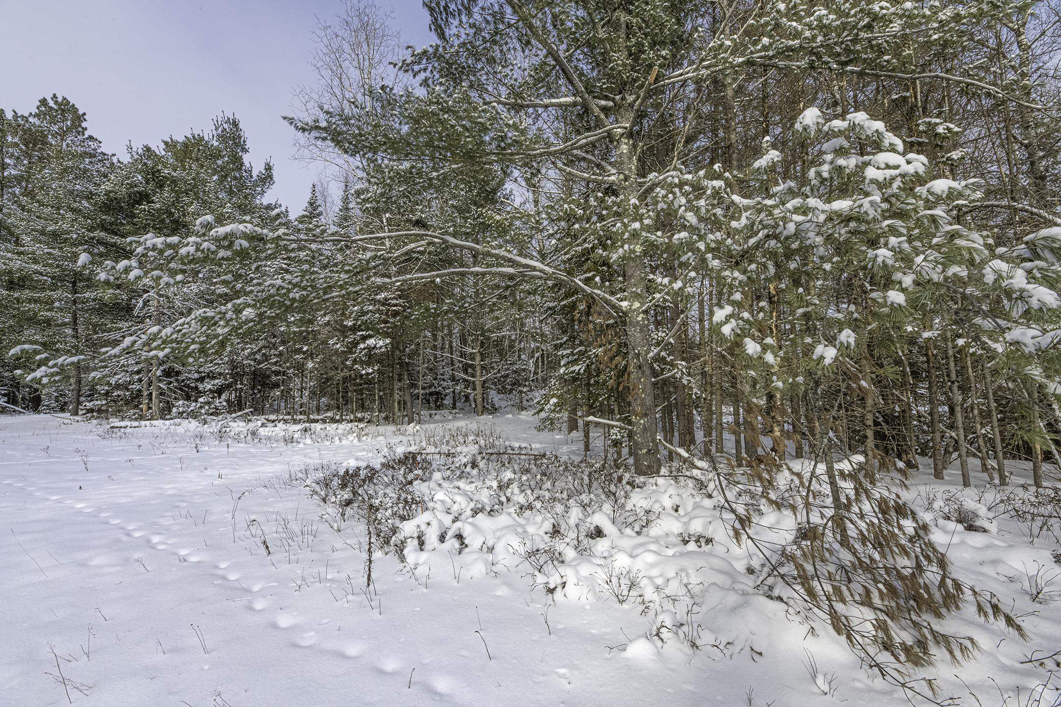 Clearview Court Hazelhurst, WI 54531 - Photo 57 of 61