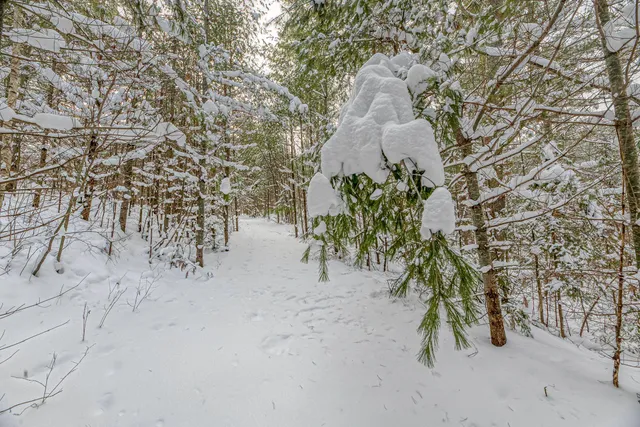 $249,900 | Clearview Court, Hazelhurst, WI 54531