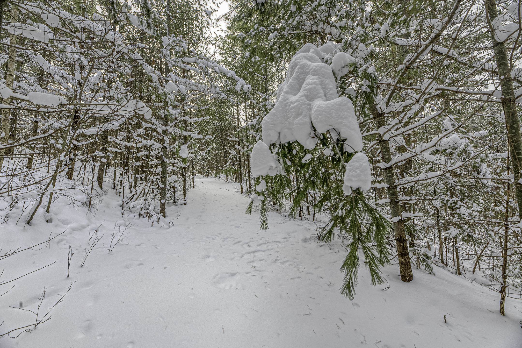 Clearview Court Hazelhurst, WI 54531 - Photo 60 of 61