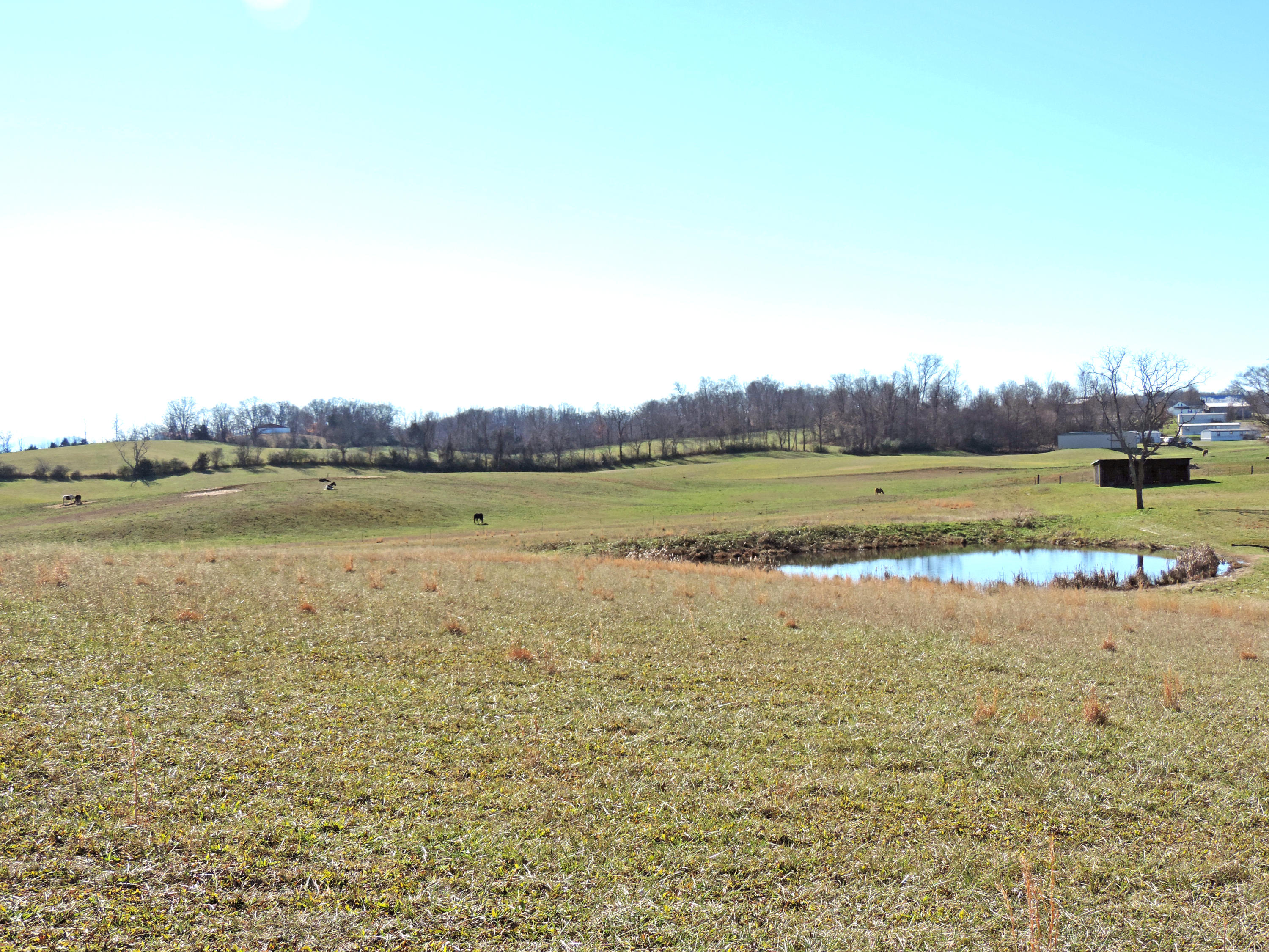 0 Mary Lamons Road Afton, TN 37616 - Photo 3 of 6 DSCN5483
