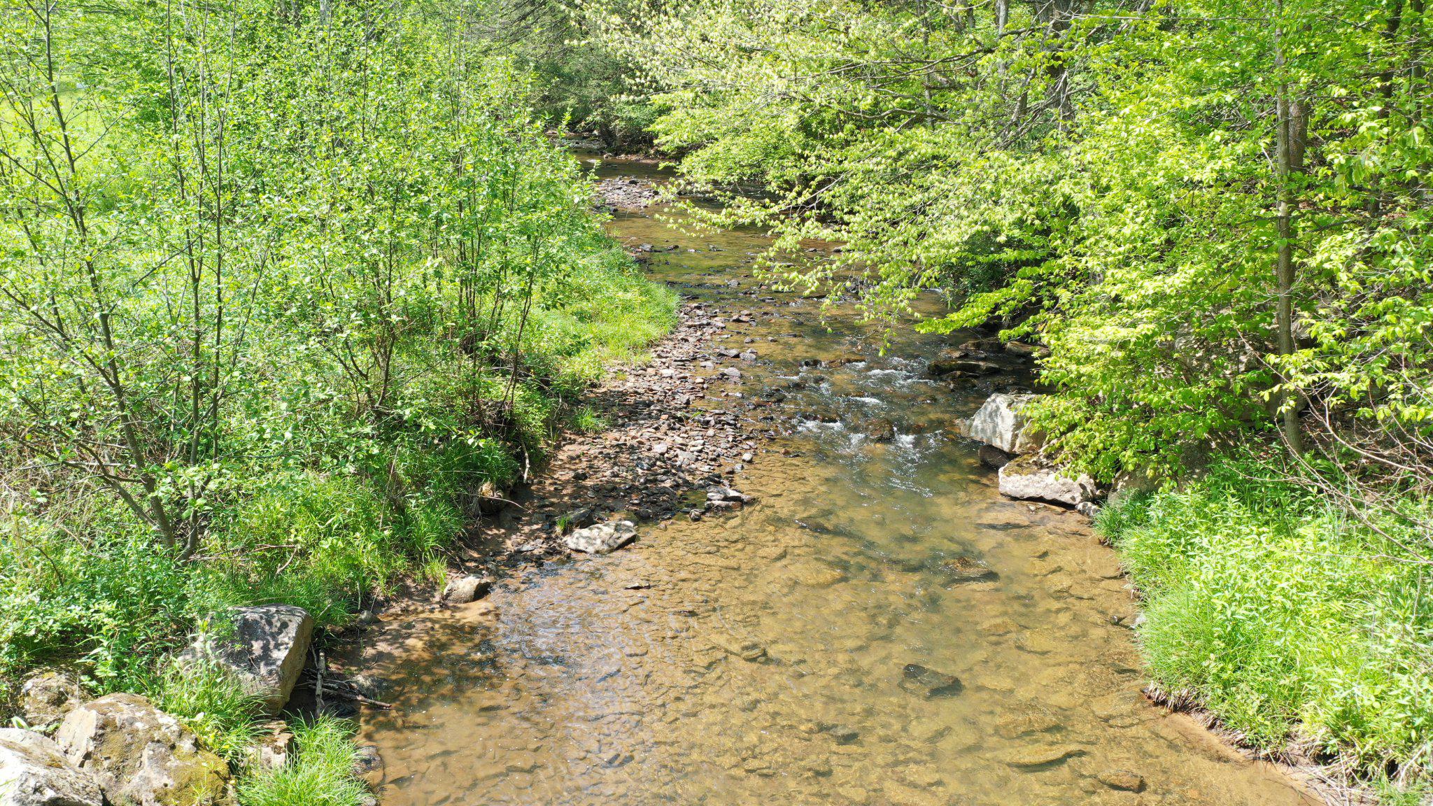 99 Wilt Road Grantsville, MD 21536 - Photo 48 of 56 stream through lush greenery.