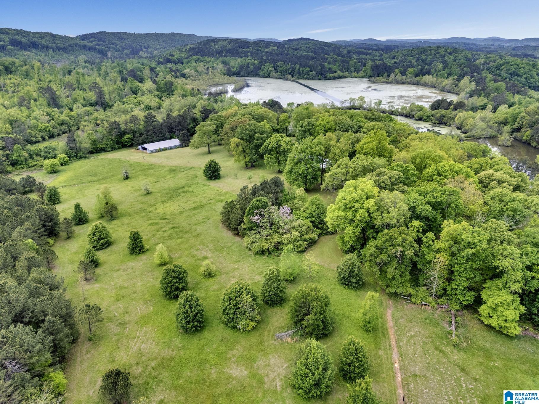 195 Harp Road Oneonta, AL 35121 - Photo 37 of 40