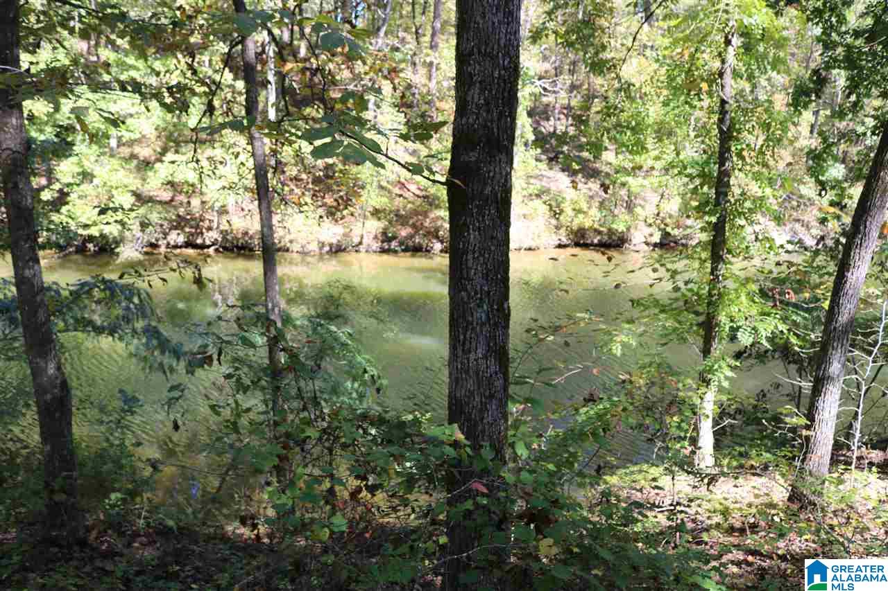 41 Fishers Way, Unit 41 Vincent, AL 35178 - Photo 1 of 6