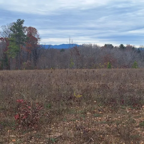 a view of an outdoor space and a yard