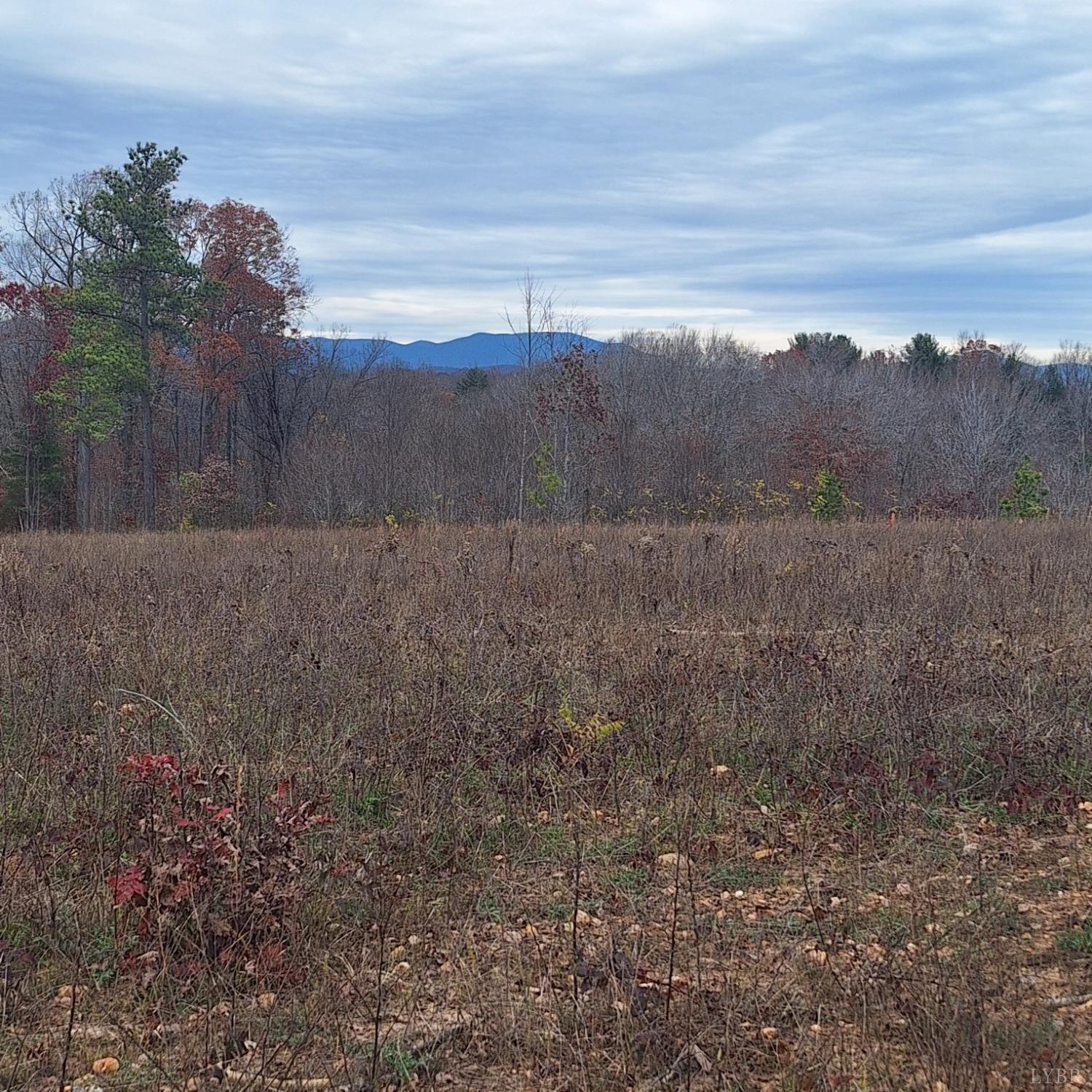 0 Fox Hall Drive Amherst, VA 24521 - Photo 1 of 1 a view of an outdoor space and a yard