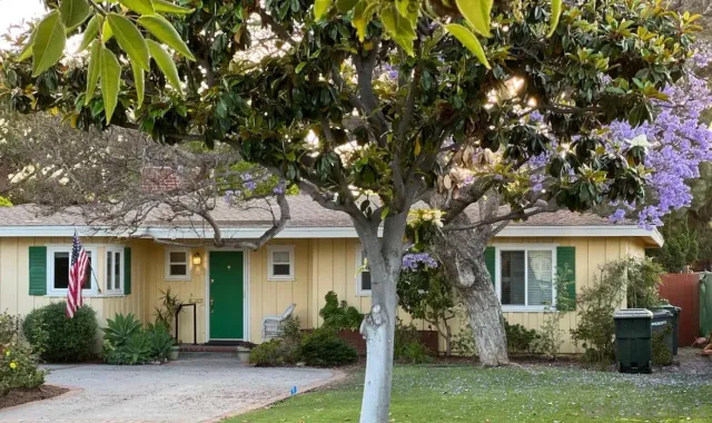 front view of a house with a tree