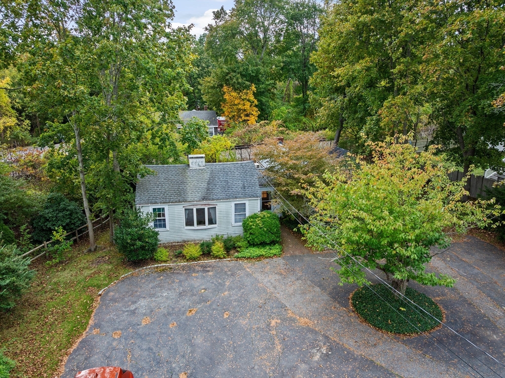 89 Ripley Road Cohasset, MA 02025 - Photo 20 of 23 a view of a house with a yard and large trees