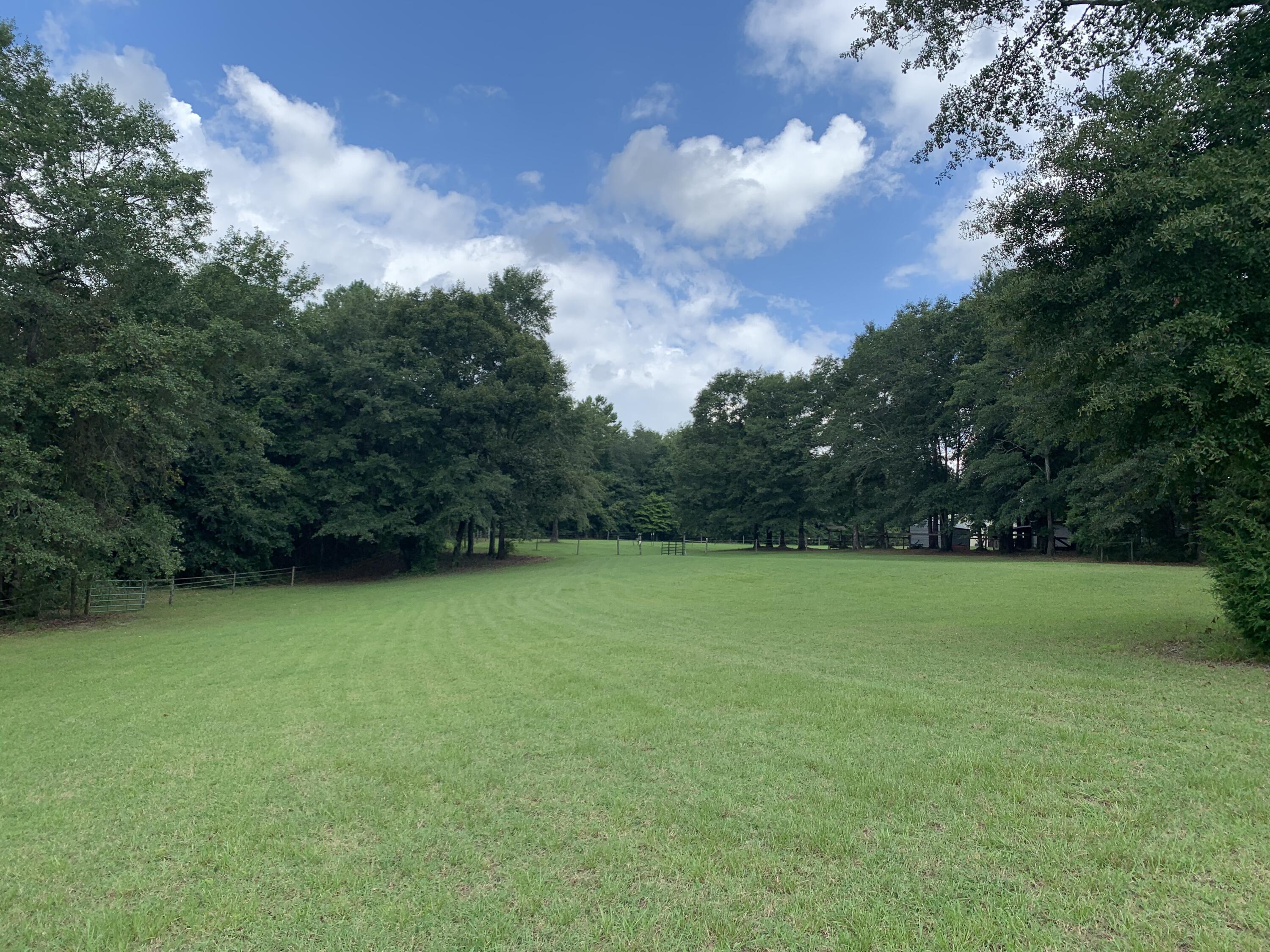 254 Our Road Salley, SC 29137 - Photo 15 of 51