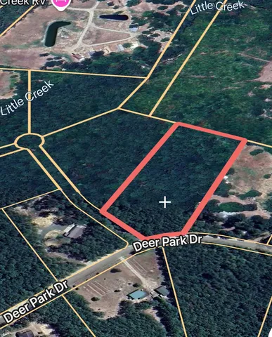 a area with lots of trees in the background