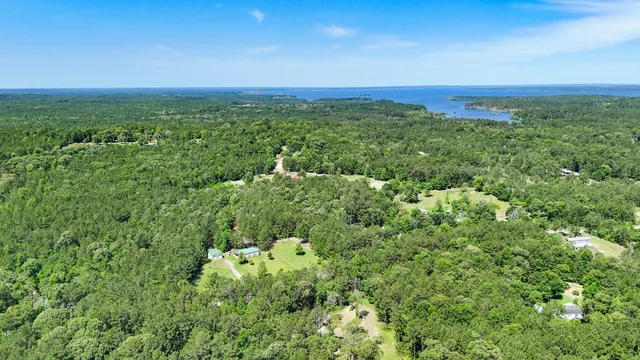 a view of a big yard with a large tree