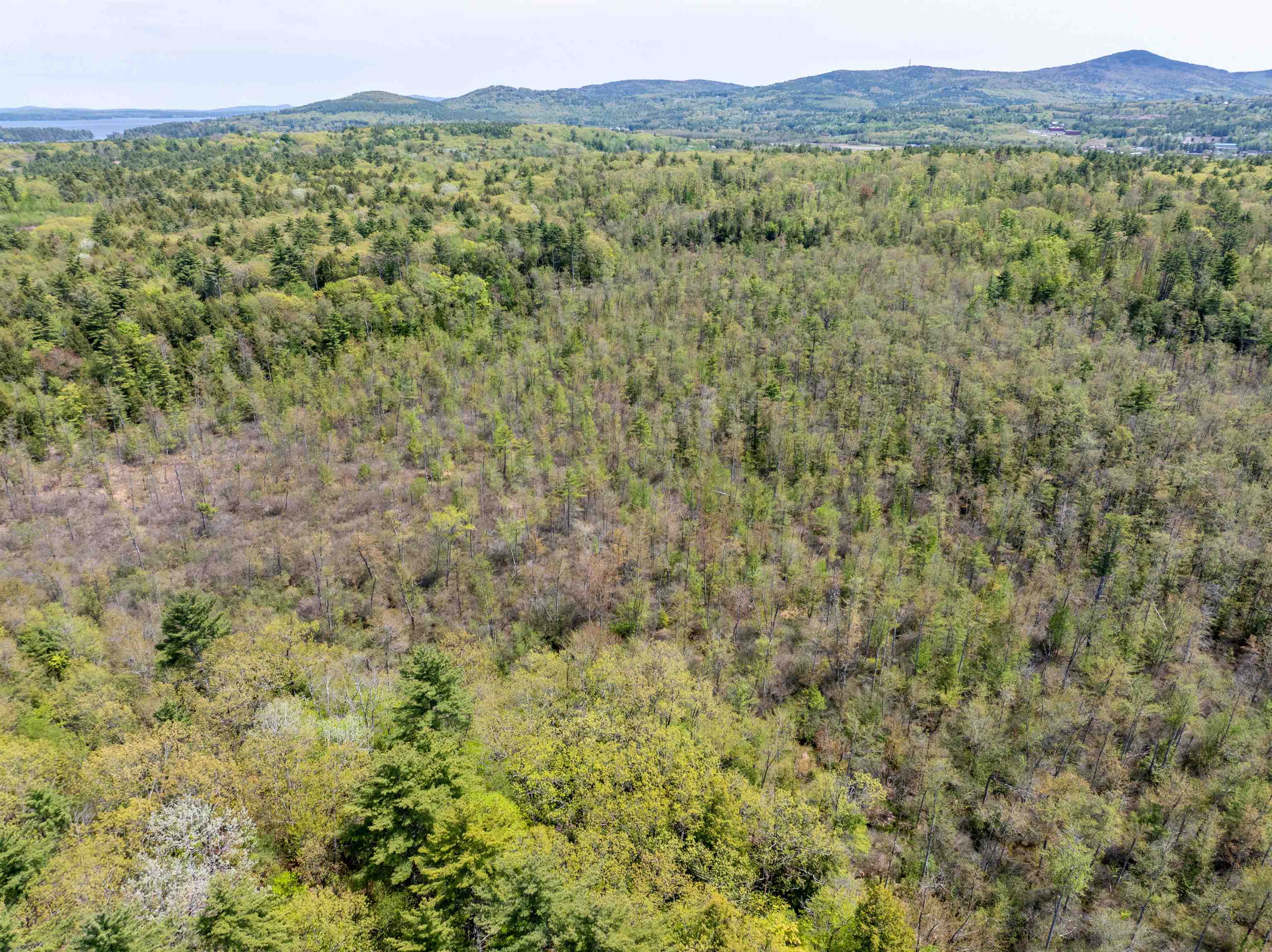 547 White Oaks Road Laconia, NH 03246 - Photo 7 of 25