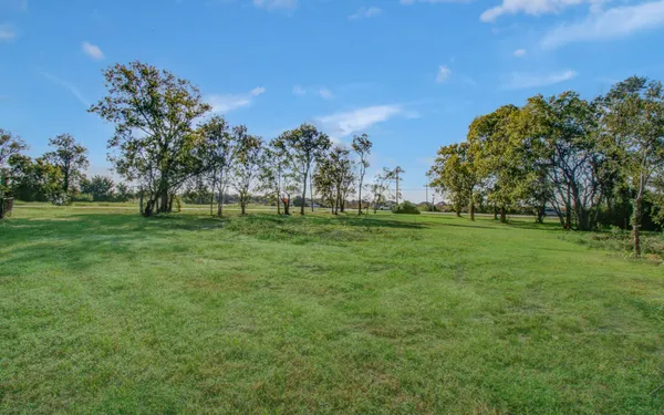 a view of a park with large trees