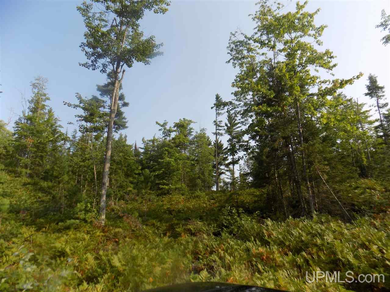 Off Off Co Road Ishpeming, MI 49849 - Photo 8 of 18