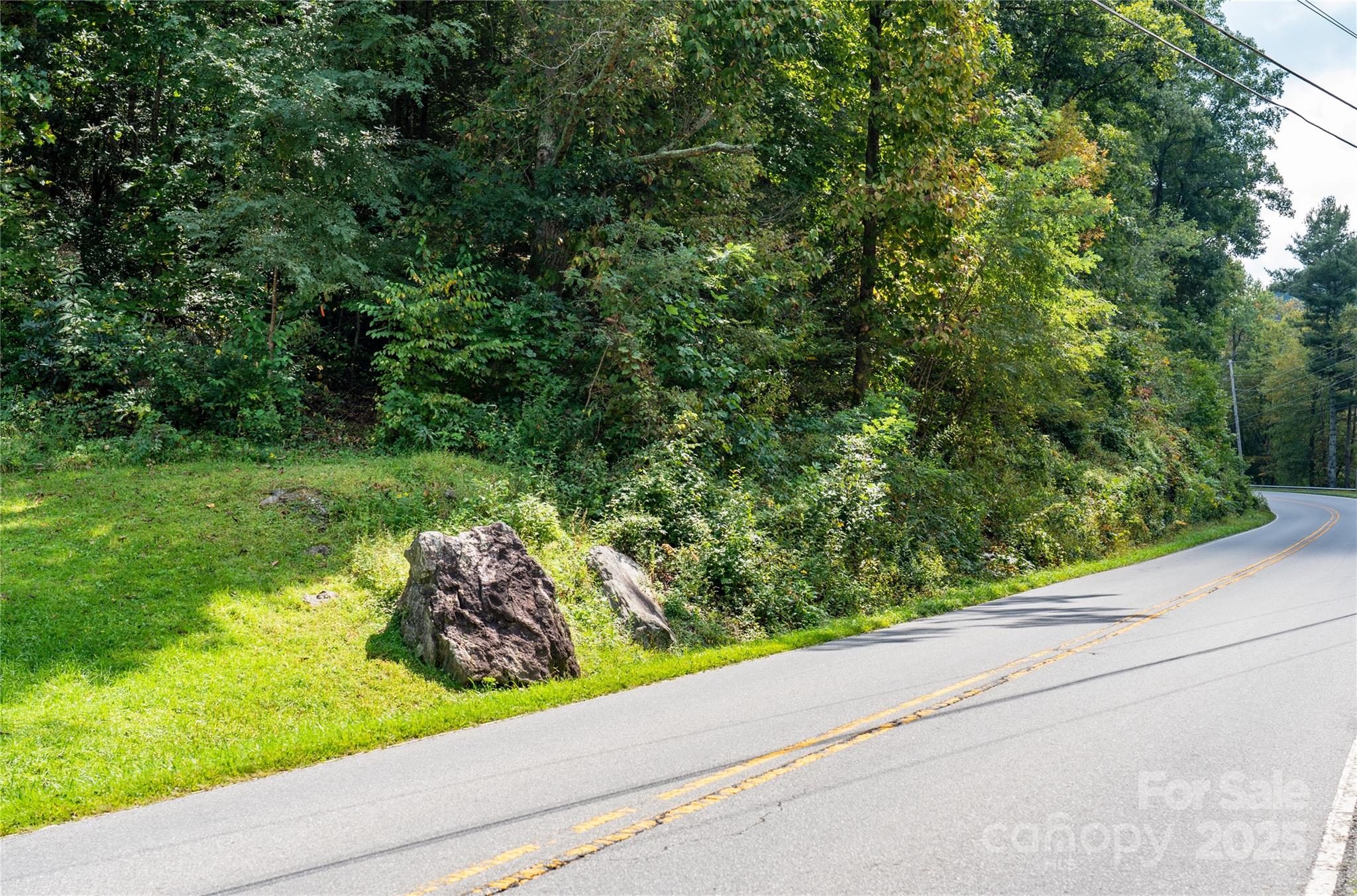 0 Cruso Road Canton, NC 28716 - Photo 12 of 33