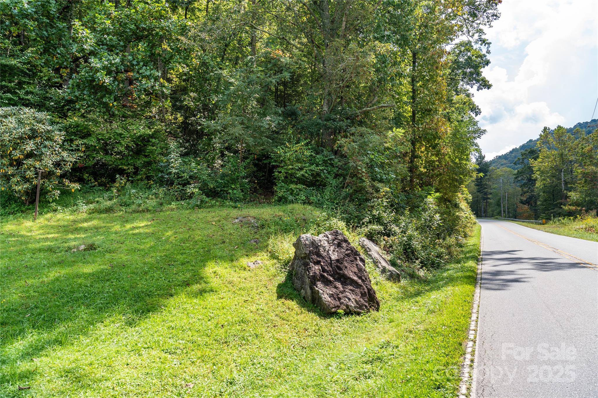 0 Cruso Road Canton, NC 28716 - Photo 13 of 33