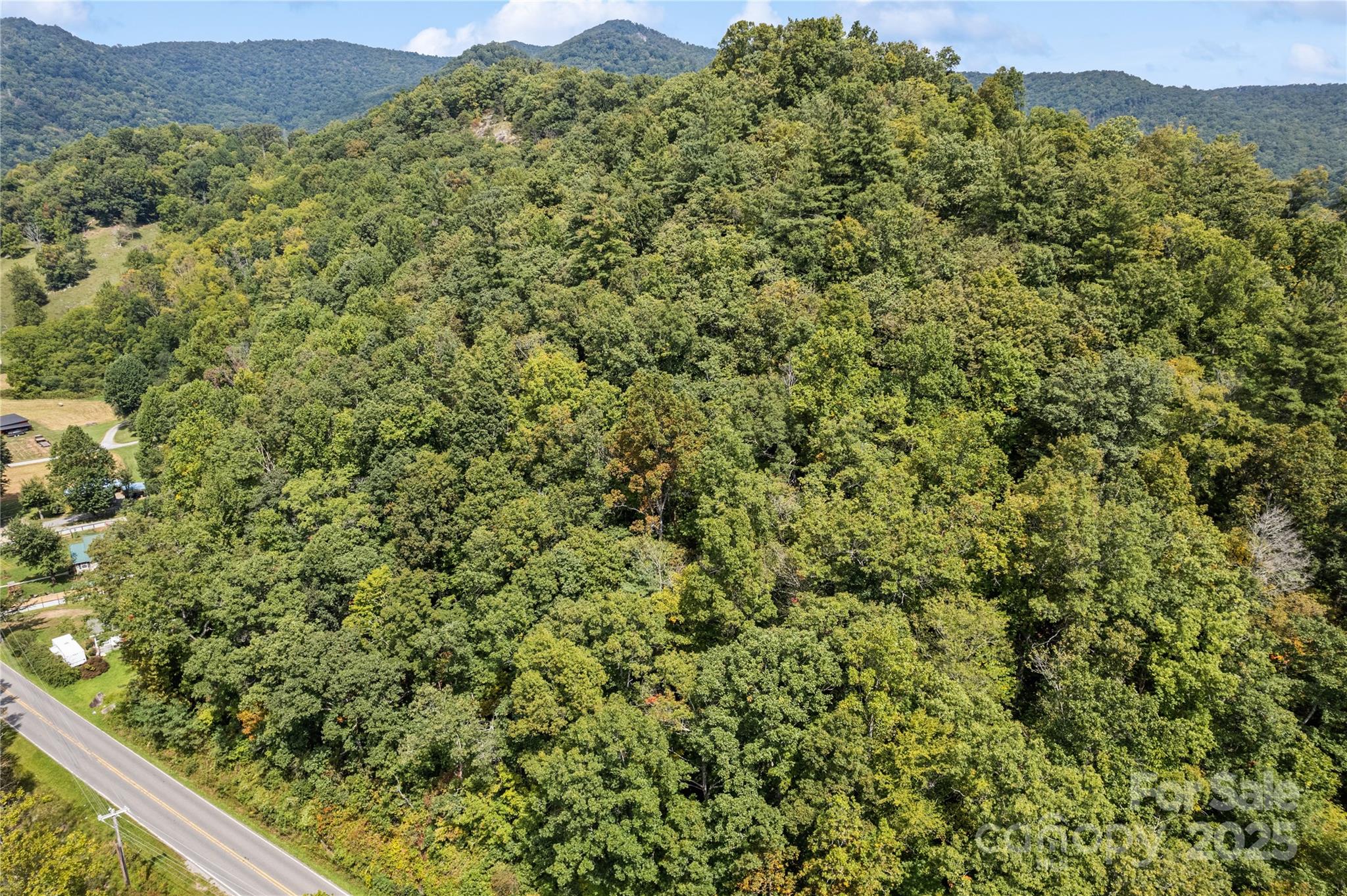 0 Cruso Road Canton, NC 28716 - Photo 15 of 33