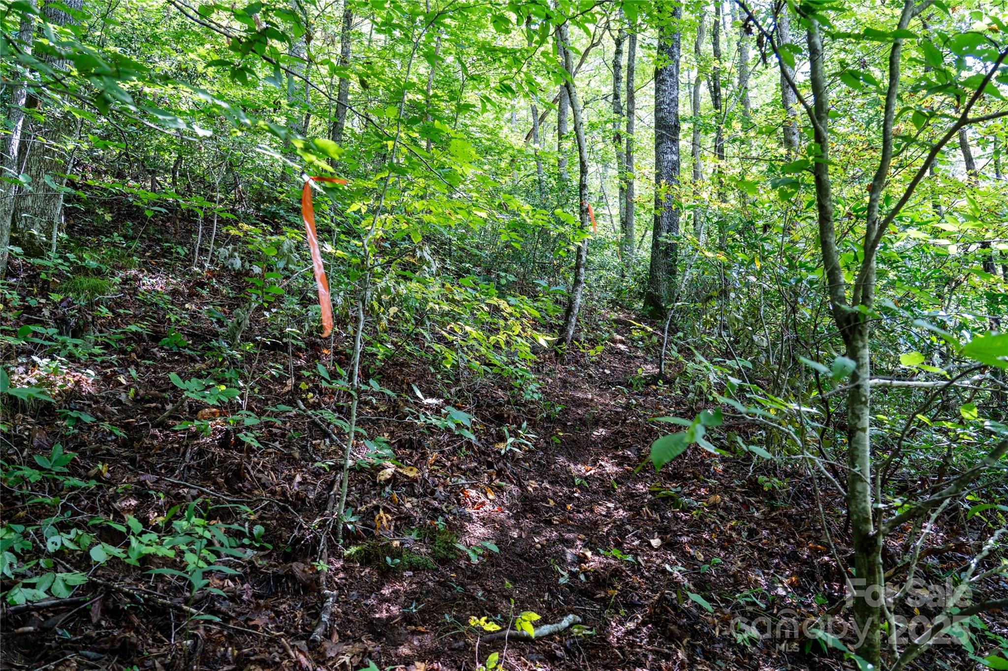 0 Cruso Road Canton, NC 28716 - Photo 18 of 33