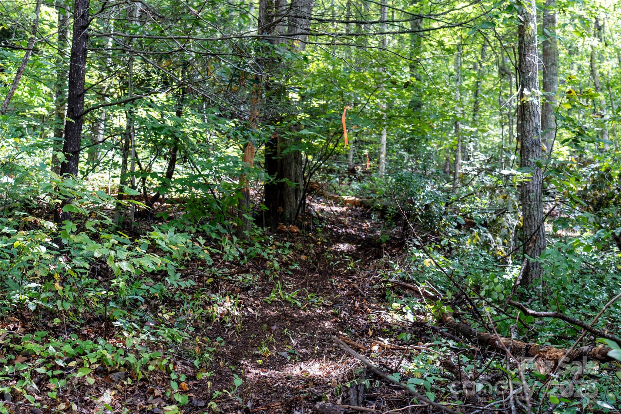 0 Cruso Road Canton, NC 28716 - Photo 19 of 33