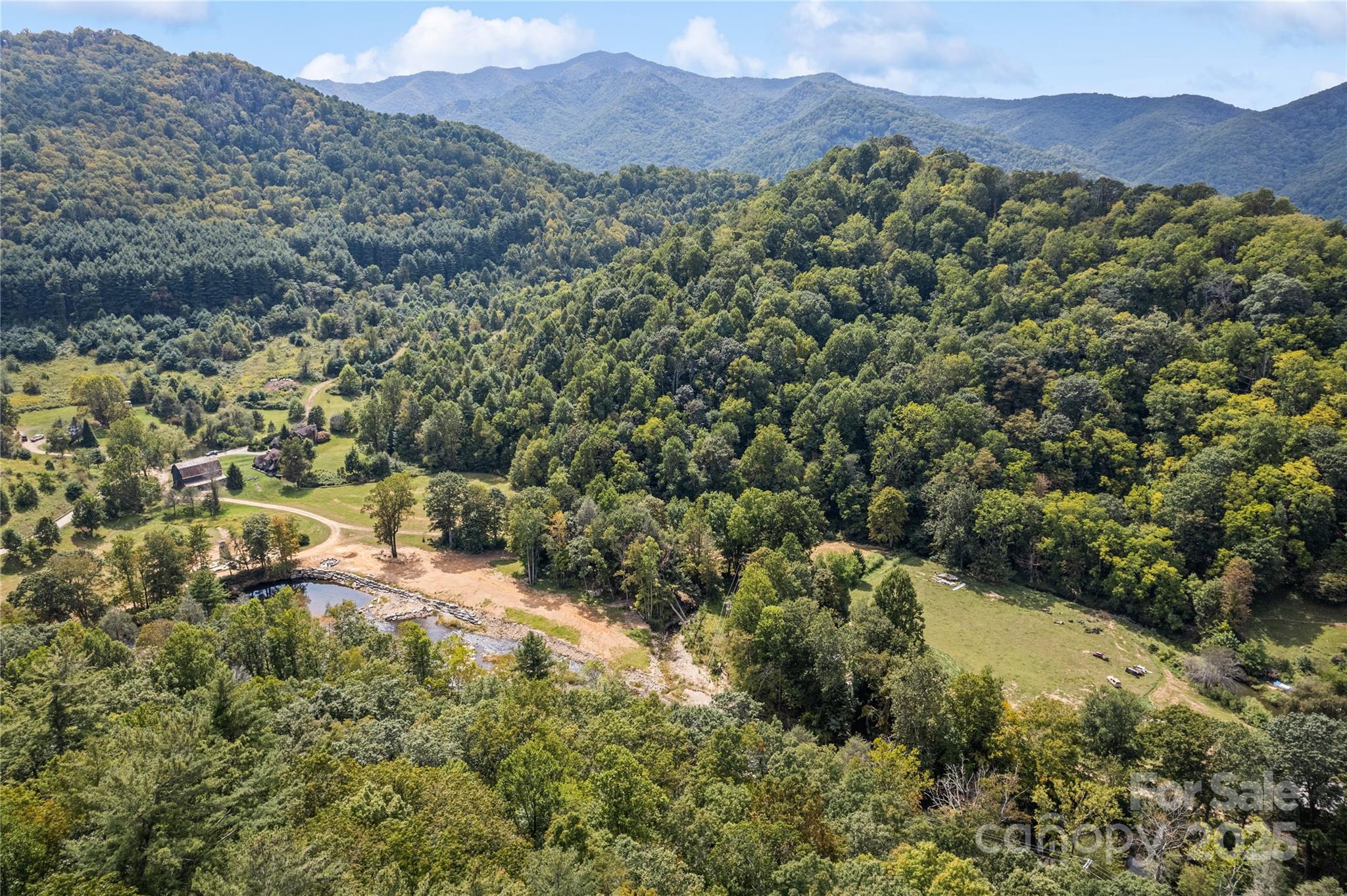 0 Cruso Road Canton, NC 28716 - Photo 25 of 33