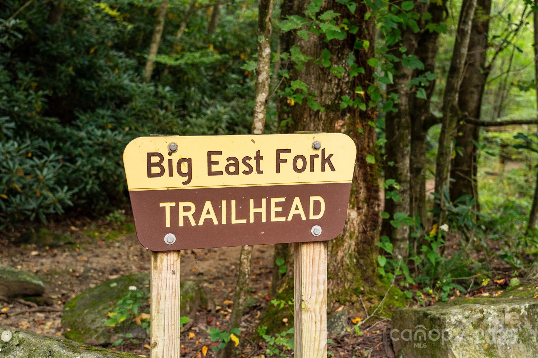 0 Cruso Road Canton, NC 28716 - Photo 29 of 33