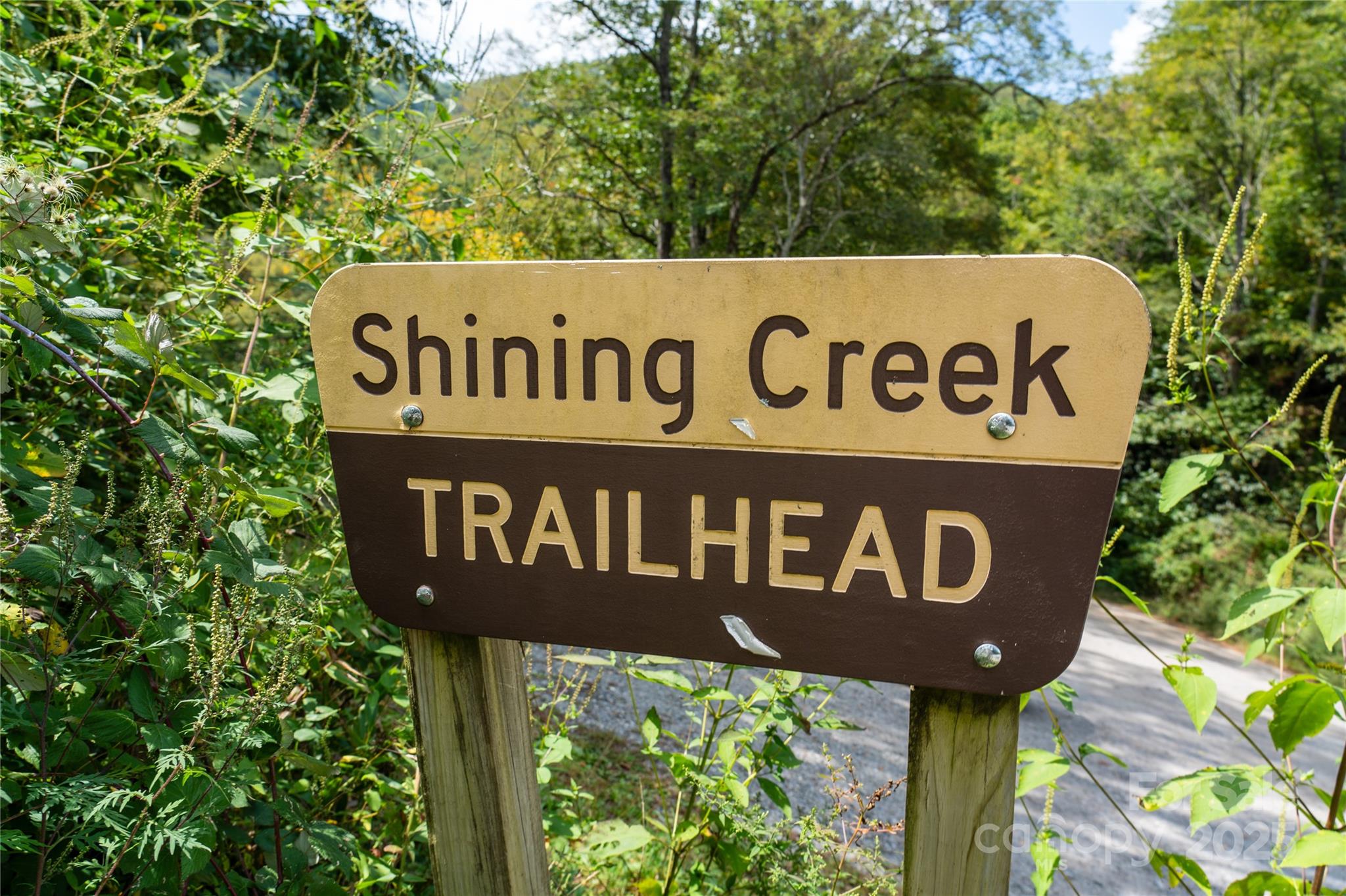 0 Cruso Road Canton, NC 28716 - Photo 30 of 33