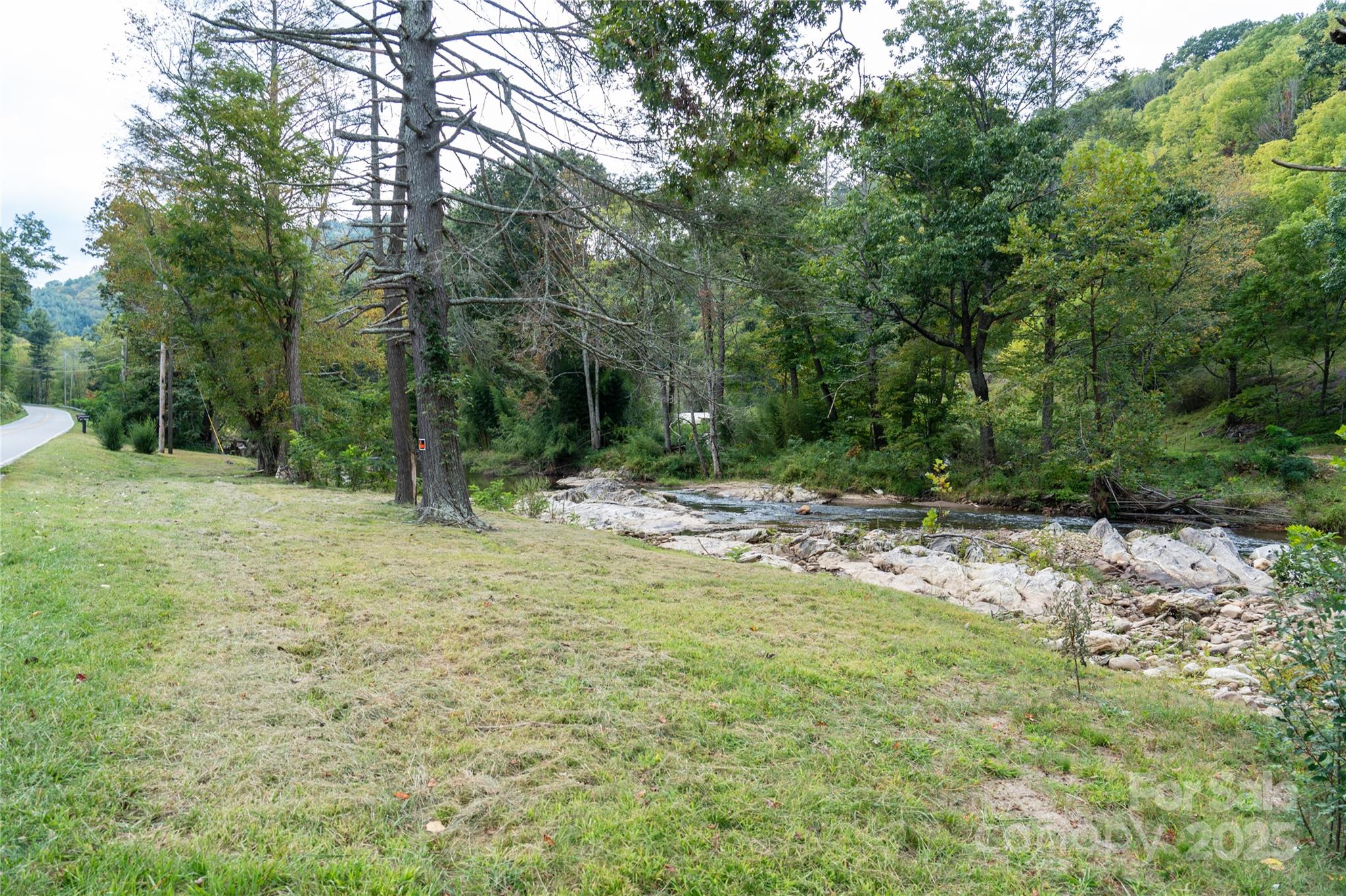 0 Cruso Road Canton, NC 28716 - Photo 9 of 33