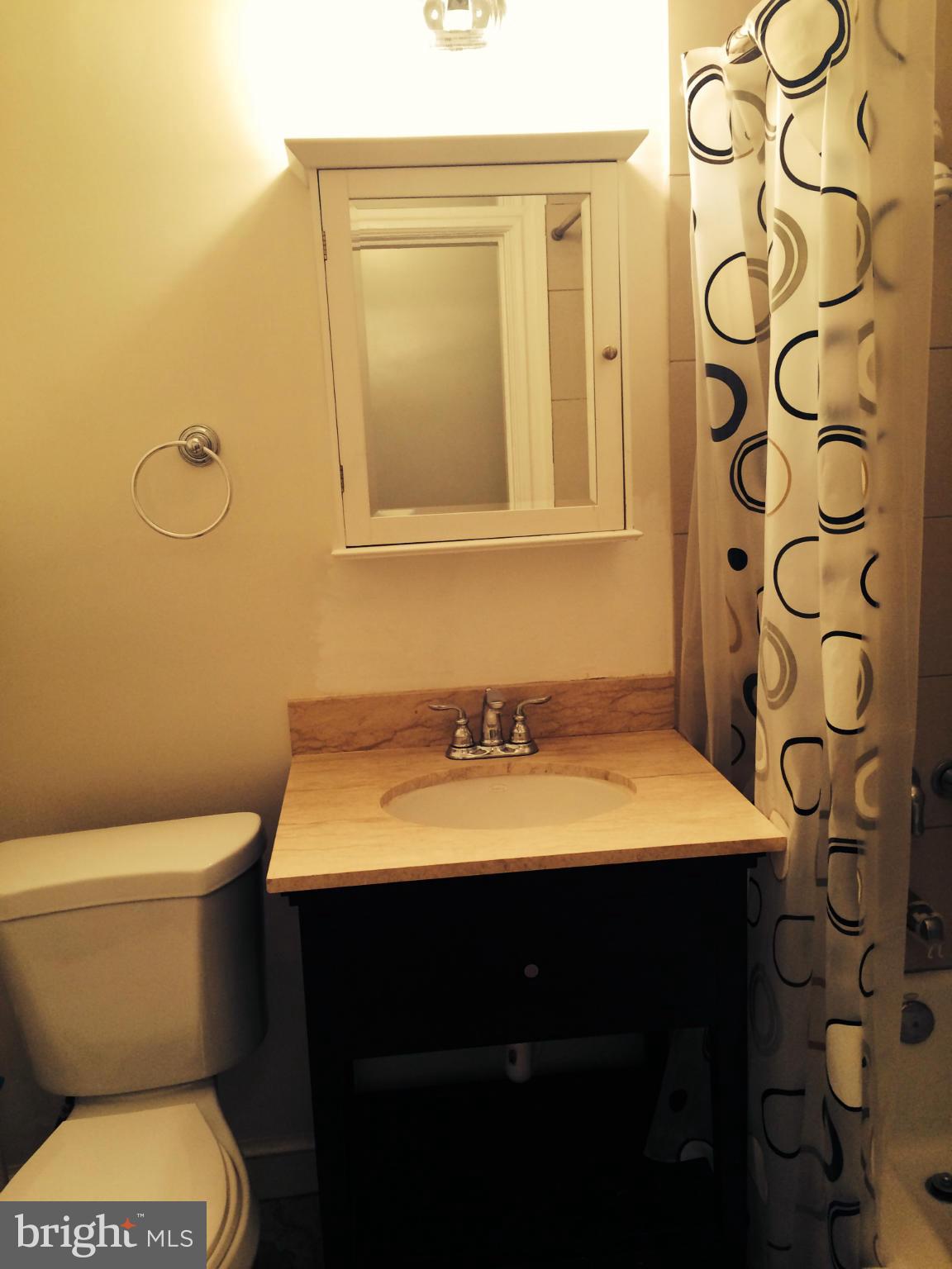 1618 S Street Northwest, Unit 2 Washington, DC 20009 - Photo 6 of 8 Bath