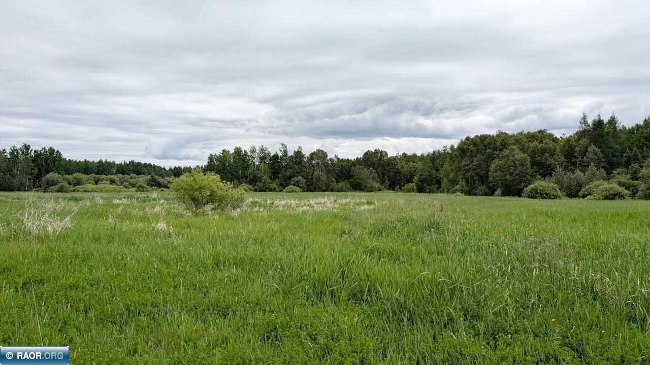 10211 Leander Road Angora, MN 55703 - Photo 6 of 9