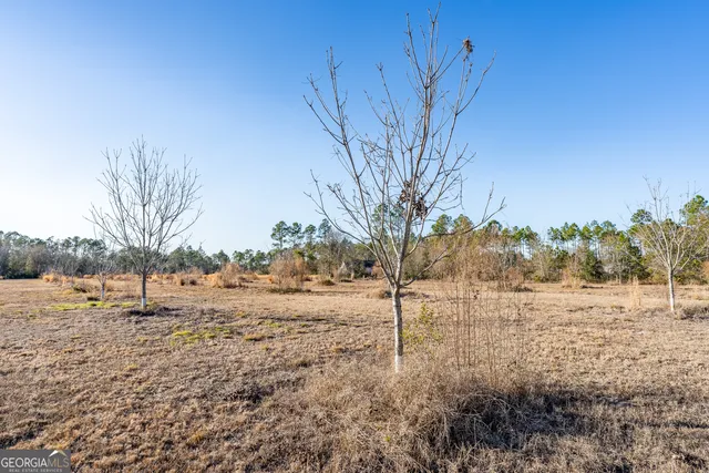 a view of dirt yard with a tree