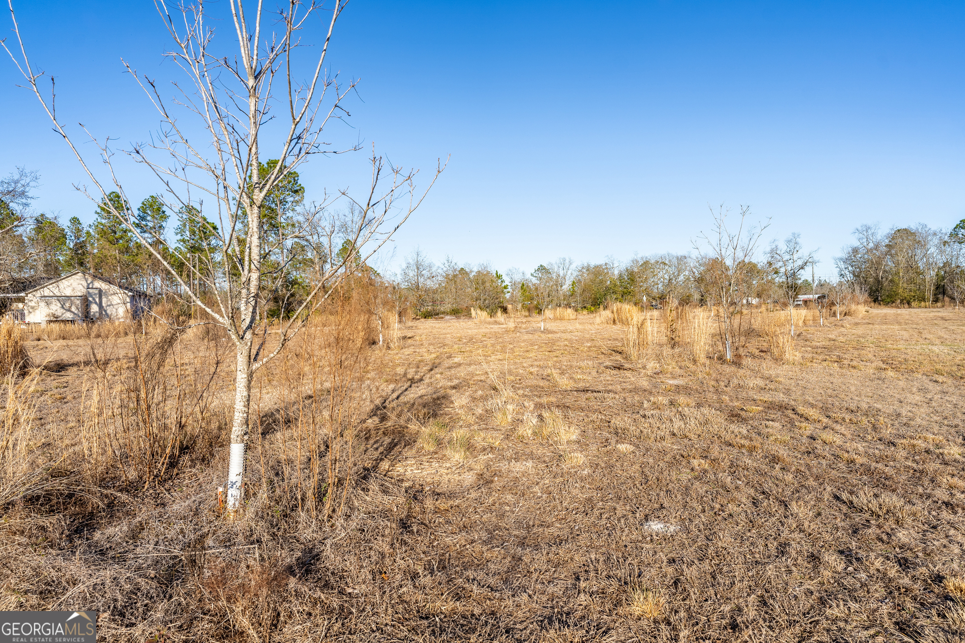 0 Moonshadow Road Homerville, GA 31634 - Photo 15 of 15 a view of mountain view with lots of trees
