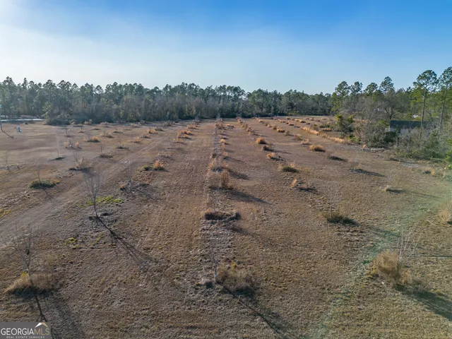 a view of a dirt road with large trees