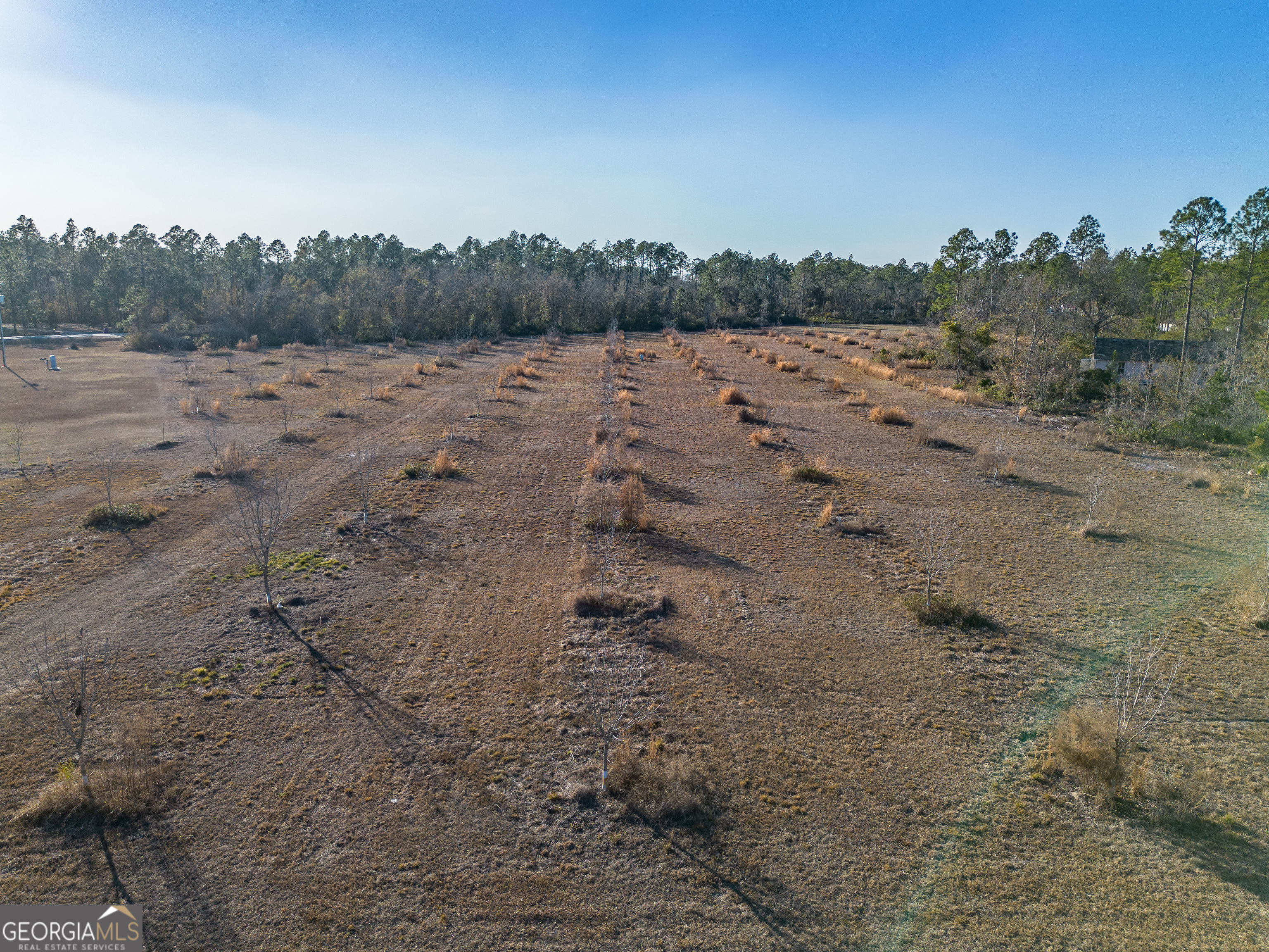 0 Moonshadow Road Homerville, GA 31634 - Photo 9 of 15 a view of a dirt road with large trees