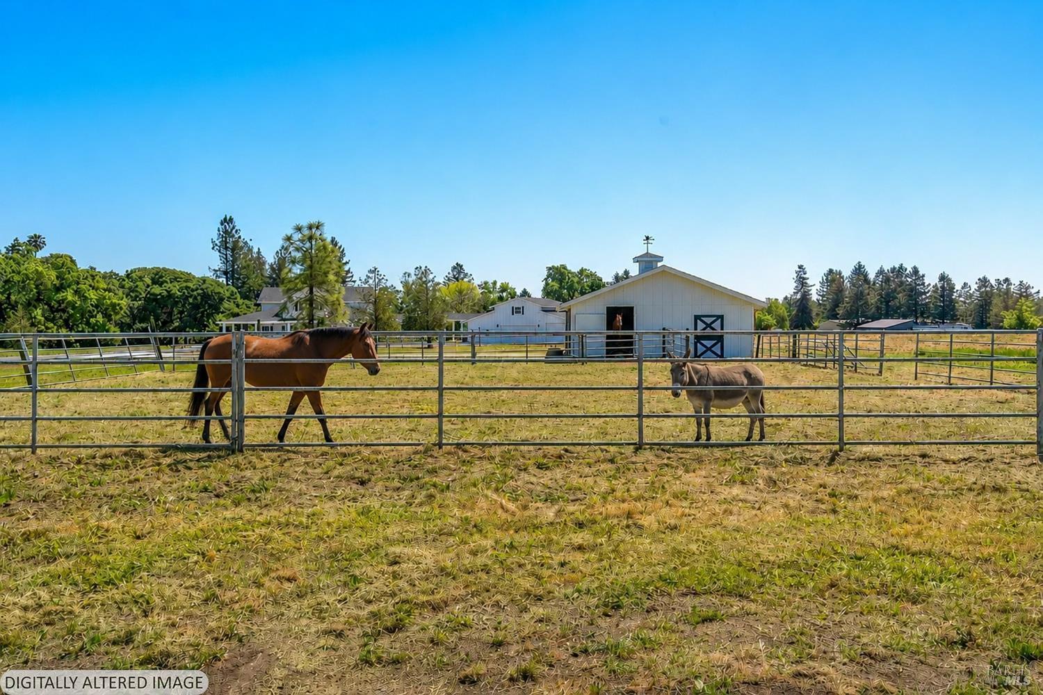 1450 Crane Canyon Road Santa Rosa, CA 95404 - Photo 82 of 96